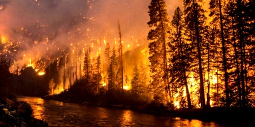 Travel Ban in Parts of B.C. Disrupting Tourism as Raging Wildfires Burn